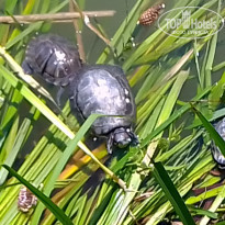 фото из отзыва ID 2132379