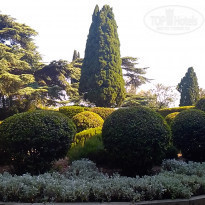 фото из отзыва ID 2132379