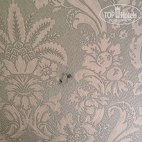 фото из отзыва ID 2132615