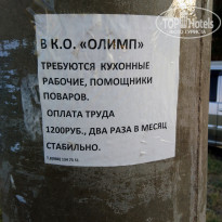 фото из отзыва ID 2132744