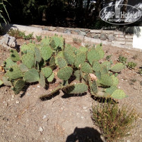 фото из отзыва ID 2132763