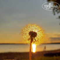фото из отзыва ID 2132809