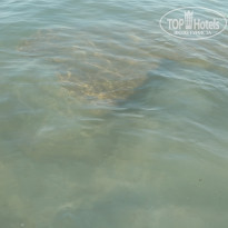 фото из отзыва ID 2132832