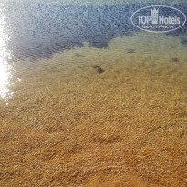 фото из отзыва ID 2132999