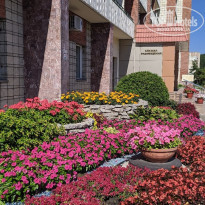 фото из отзыва ID 2133000