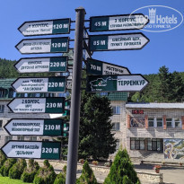 фото из отзыва ID 2133000