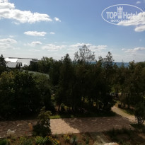 фото из отзыва ID 2132999