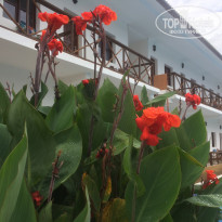 фото из отзыва ID 2133019