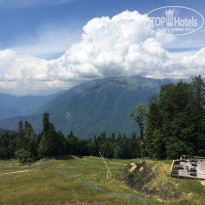 фото из отзыва ID 2133090