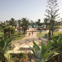 фото из отзыва ID 2133125