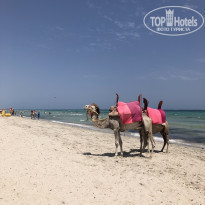 фото из отзыва ID 2133125