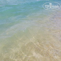 фото из отзыва ID 2133161