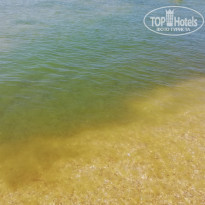 фото из отзыва ID 2133161