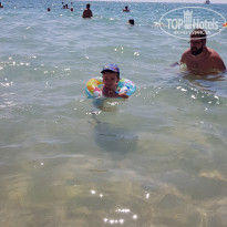 фото из отзыва ID 2133163