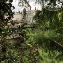 фото из отзыва ID 2133209