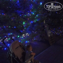 фото из отзыва ID 2133285