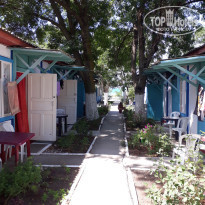 фото из отзыва ID 2133443