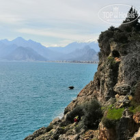 фото из отзыва ID 2133448