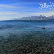 фото из отзыва ID 2133448