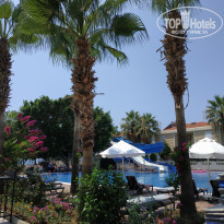 фото из отзыва ID 2133520