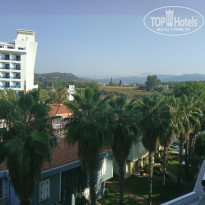 фото из отзыва ID 2133520