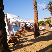 фото из отзыва ID 2133645