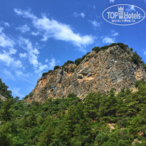 фото из отзыва ID 2133699