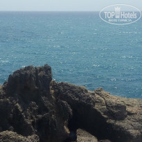 фото из отзыва ID 2133625