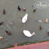 фото из отзыва ID 2133748