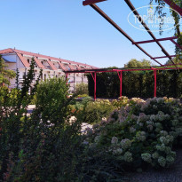 фото из отзыва ID 2133748