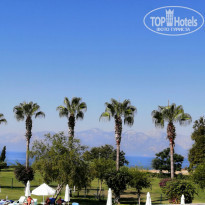 фото из отзыва ID 2133906