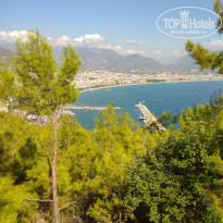 фото из отзыва ID 2133953