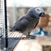 фото из отзыва ID 2133996