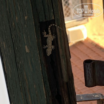 фото из отзыва ID 2134099