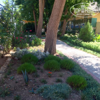 фото из отзыва ID 2134147