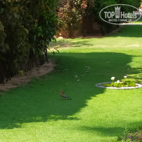 фото из отзыва ID 2134436