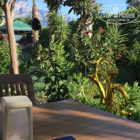 фото из отзыва ID 2134481