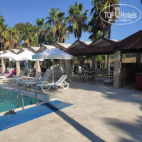 фото из отзыва ID 2134463