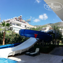 фото из отзыва ID 2134234