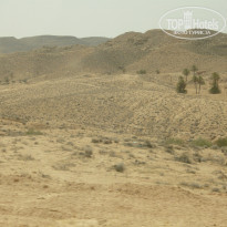 фото из отзыва ID 2134868