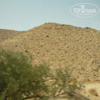 фото из отзыва ID 2134868