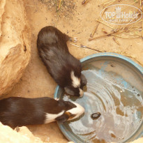 фото из отзыва ID 2134868