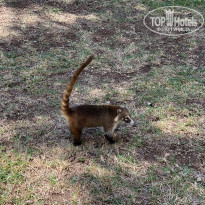 фото из отзыва ID 2135017