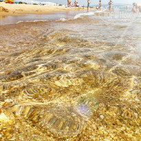 фото из отзыва ID 2135402