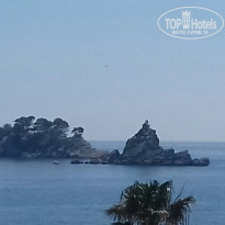 фото из отзыва ID 2135426