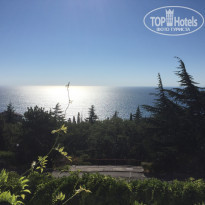 фото из отзыва ID 2135684