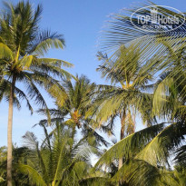 фото из отзыва ID 2135717