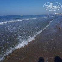 фото из отзыва ID 2135718