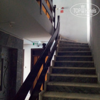 фото из отзыва ID 2135796