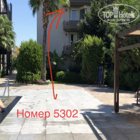 фото из отзыва ID 2135991